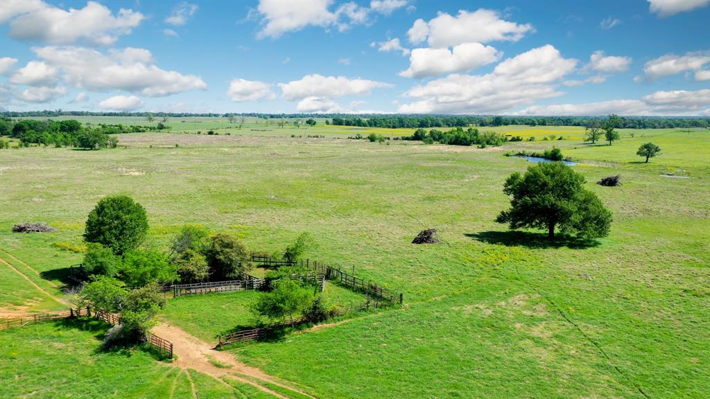 272 AC Farm To Market 977, Leona, Texas image 11