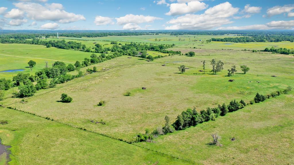 272 AC Farm To Market 977, Leona, Texas image 9