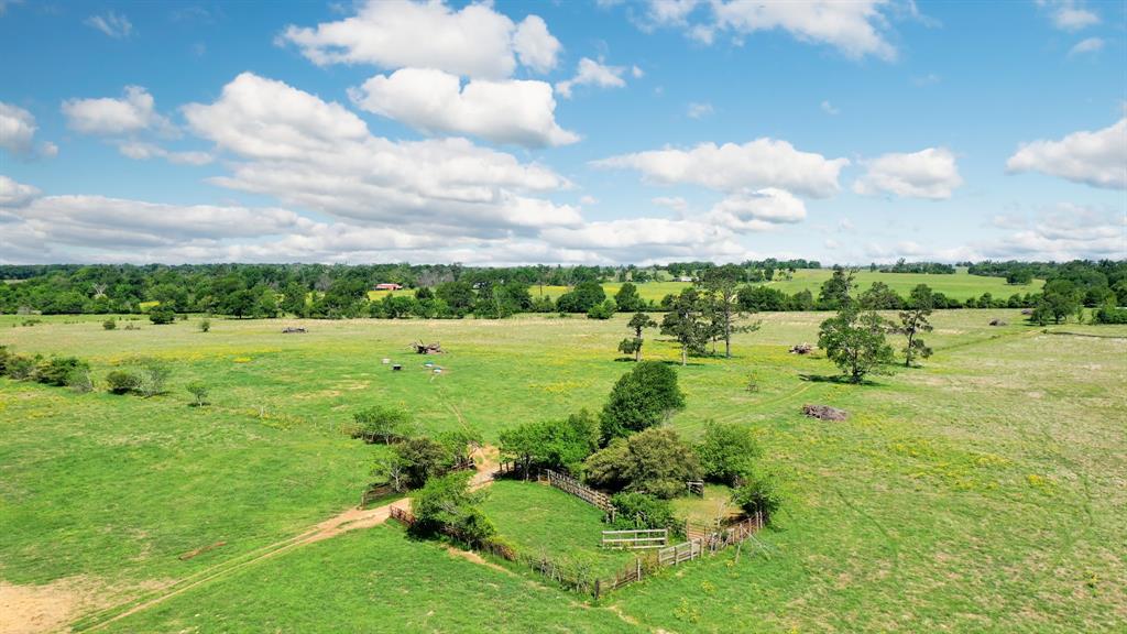 272 AC Farm To Market 977, Leona, Texas image 10