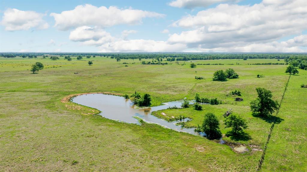 272 AC Farm To Market 977, Leona, Texas image 15