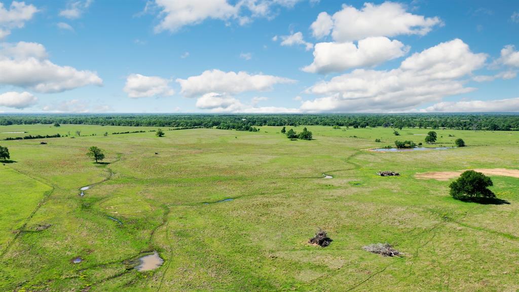 272 AC Farm To Market 977, Leona, Texas image 13
