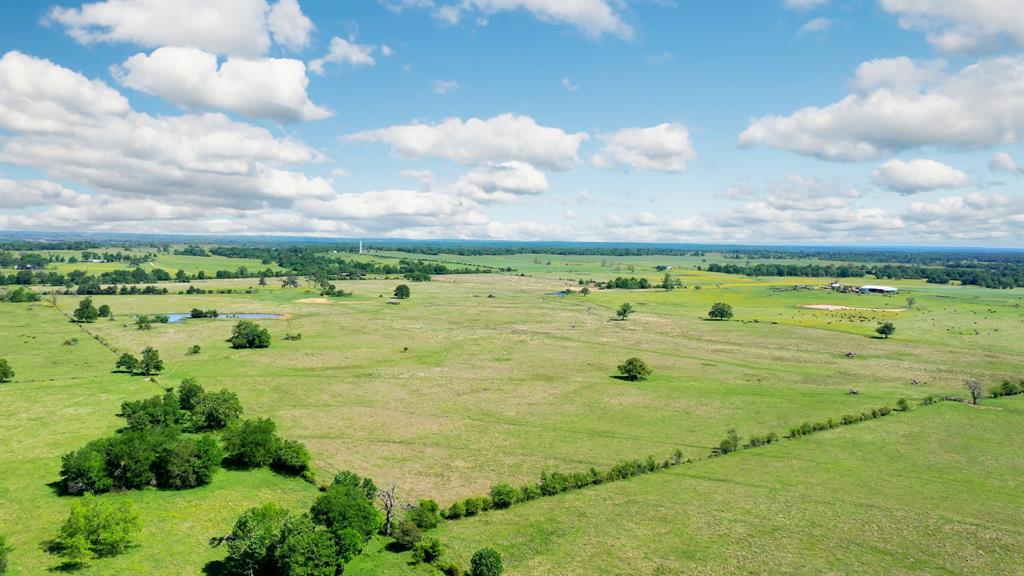 272 AC Farm To Market 977, Leona, Texas image 17