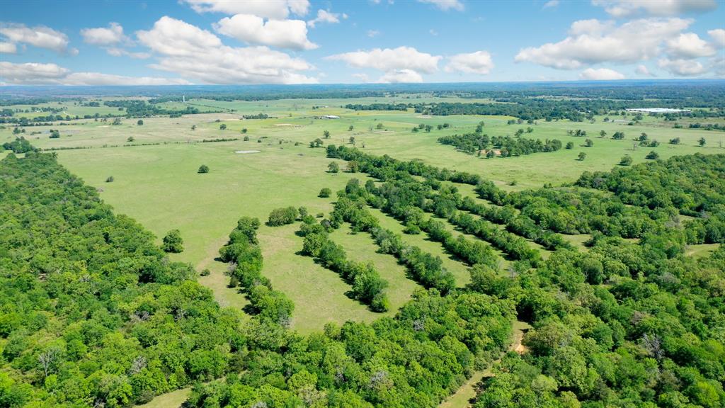 272 AC Farm To Market 977, Leona, Texas image 27