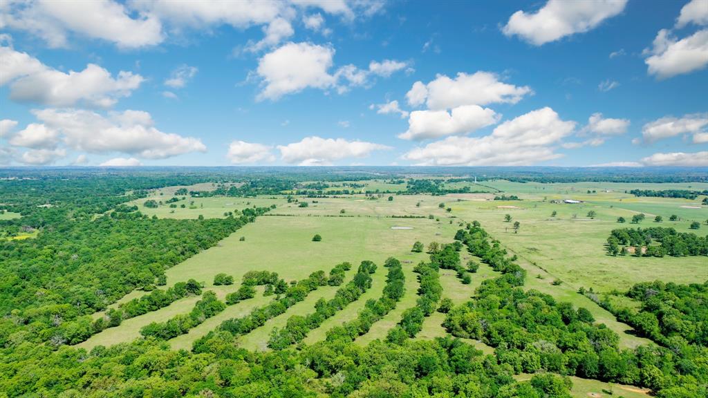 272 AC Farm To Market 977, Leona, Texas image 25