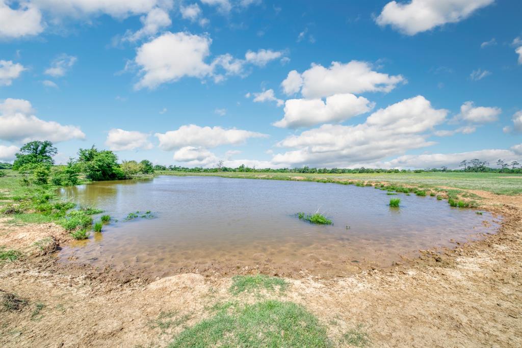 272 AC Farm To Market 977, Leona, Texas image 16