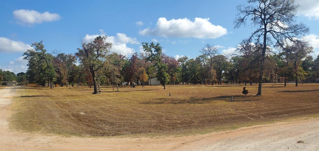 Lot 33 Owl Drive, Hempstead, Texas image 30