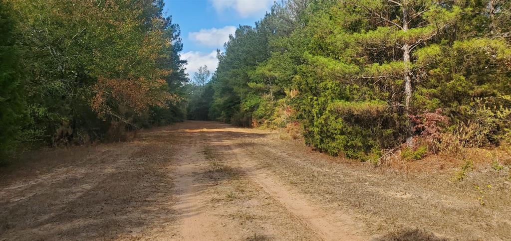 Lot 33 Owl Drive, Hempstead, Texas image 4