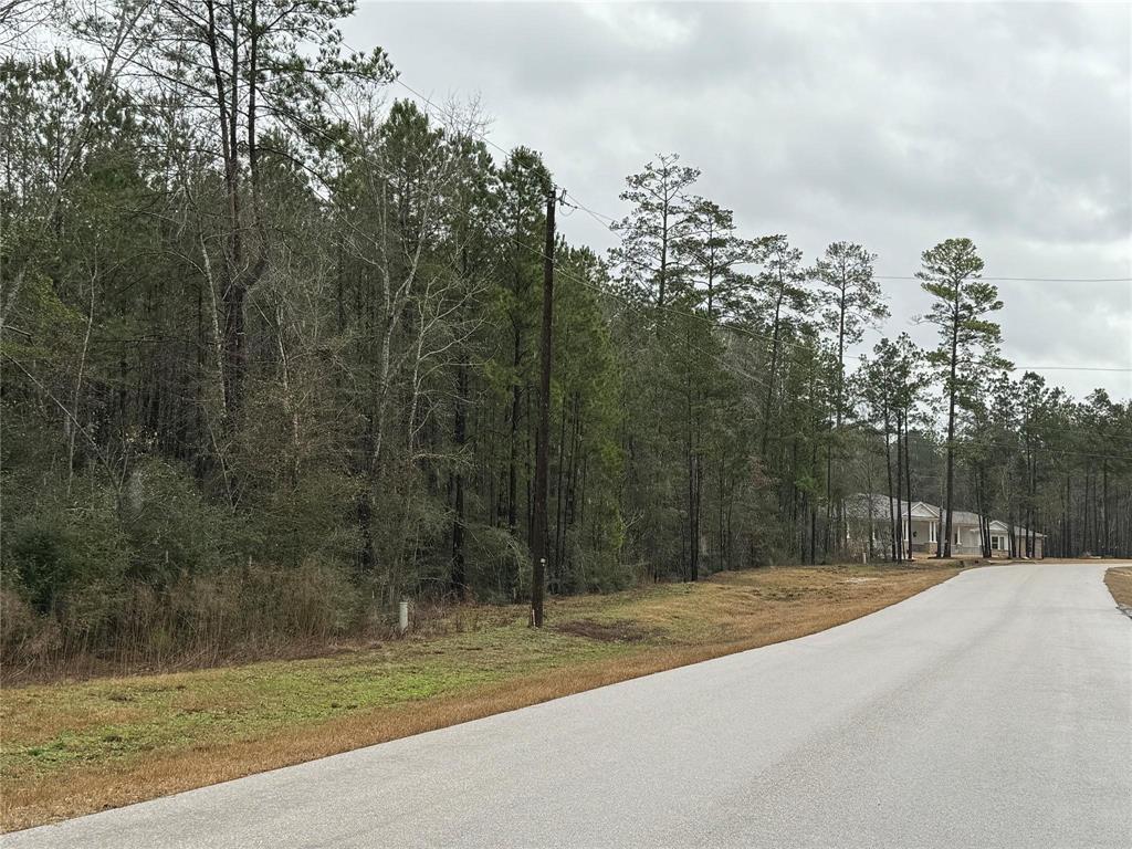 11-24-77 Tranquil Lane, Huntsville, Texas image 20