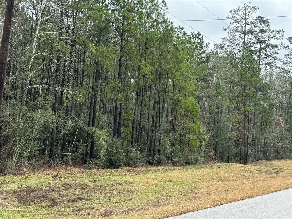 11-24-77 Tranquil Lane, Huntsville, Texas image 21
