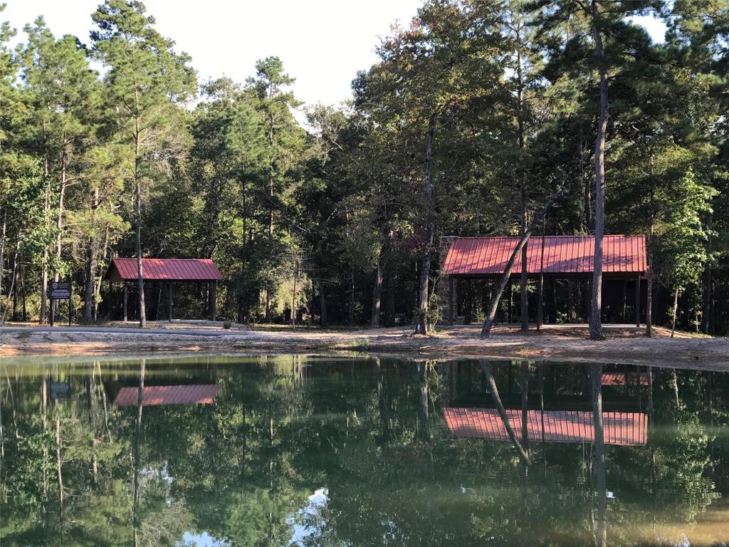 11-24-77 Tranquil Lane, Huntsville, Texas image 4