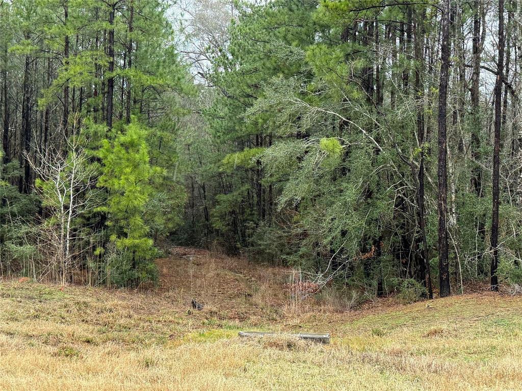 11-24-77 Tranquil Lane, Huntsville, Texas image 23