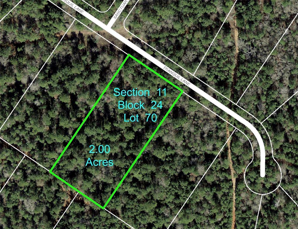 11-24-77 Tranquil Lane, Huntsville, Texas image 16