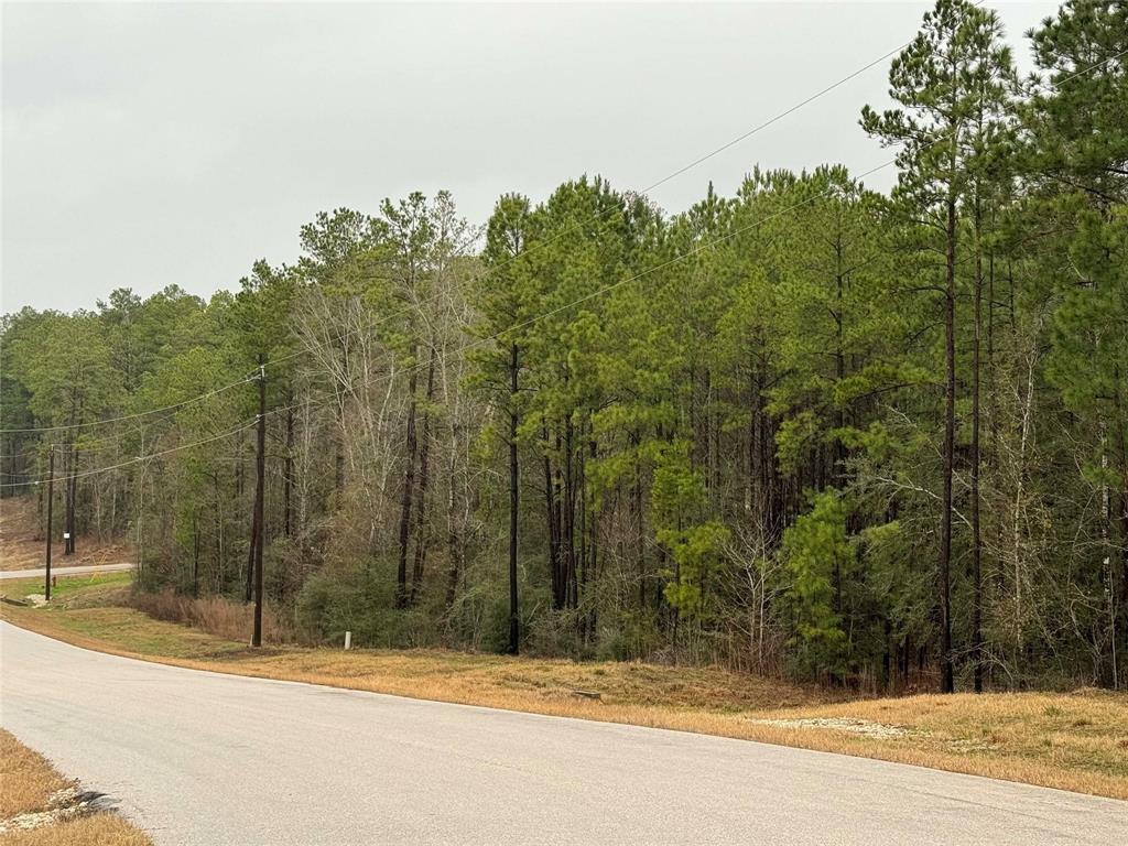 11-24-77 Tranquil Lane, Huntsville, Texas image 24