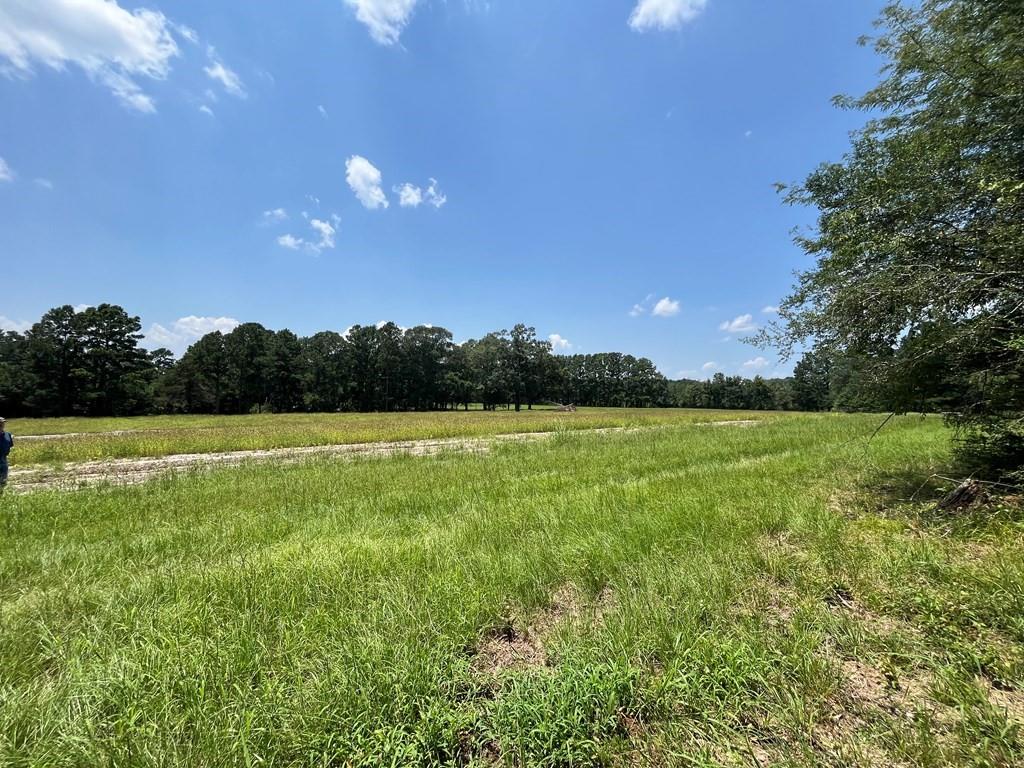 21696 Hwy 83, Broaddus, Texas image 18