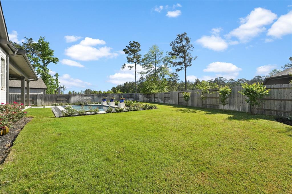 17501 Limoncello Lane, Conroe, Texas image 34
