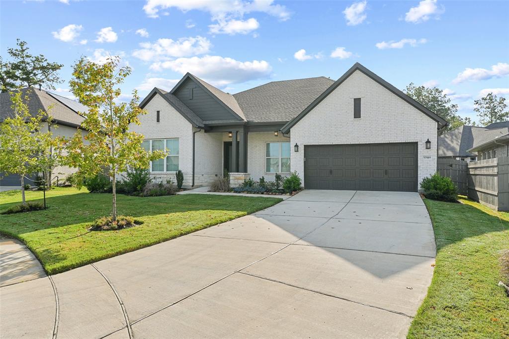 17501 Limoncello Lane, Conroe, Texas image 3