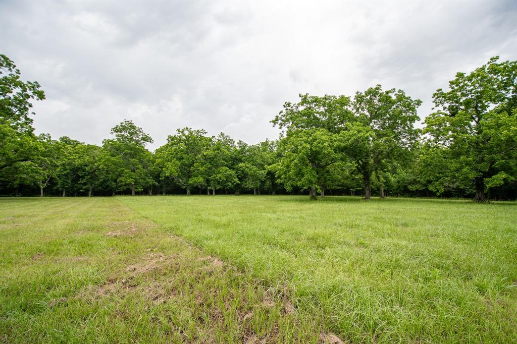 2856 Fm 1011 Road, Liberty, Texas image 8