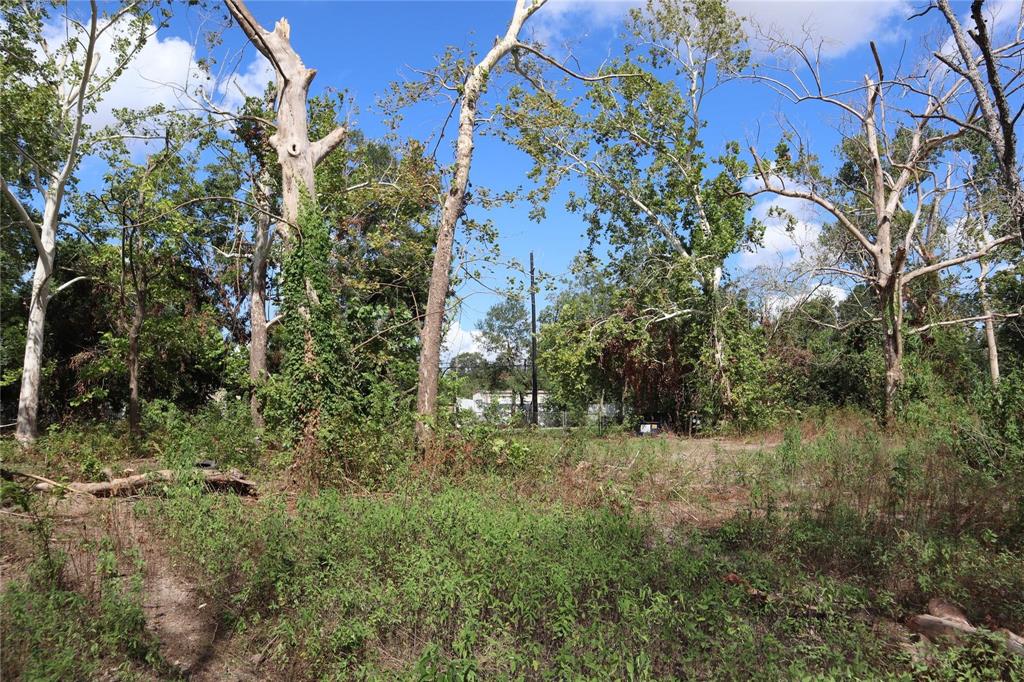 13314 Ann Louise Road