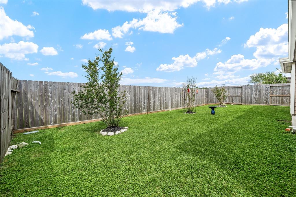 5211 La Rocco Way, Alvin, Texas image 17