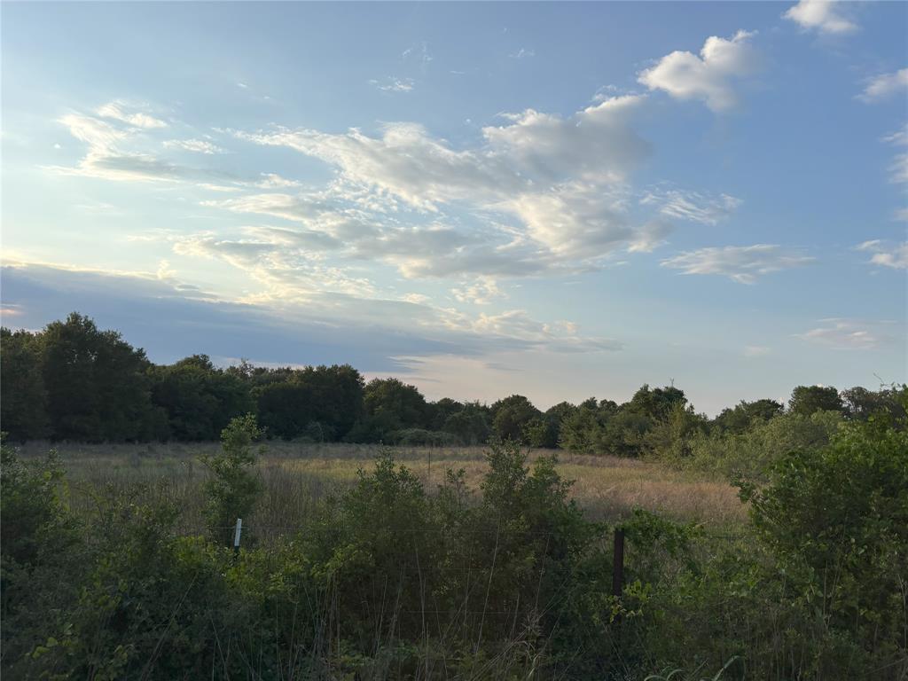 TBD Cr 413, Lexington, Texas image 2