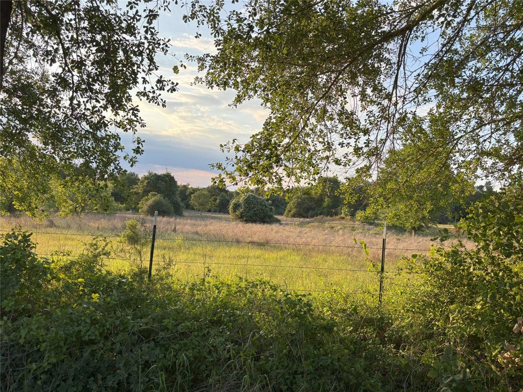 TBD Cr 413, Lexington, Texas image 9
