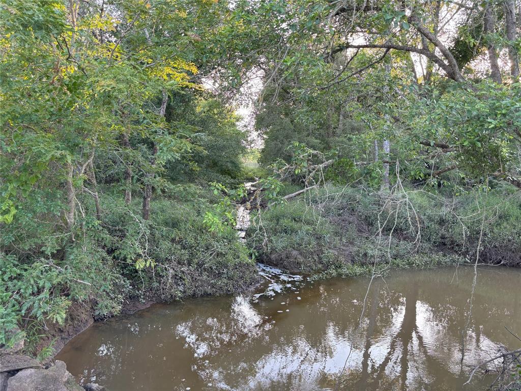 TBD Cr 413, Lexington, Texas image 3