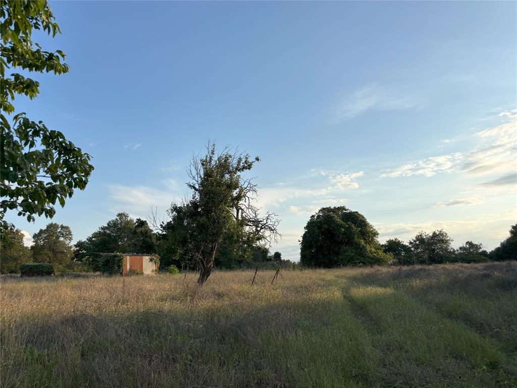 TBD Cr 413, Lexington, Texas image 6