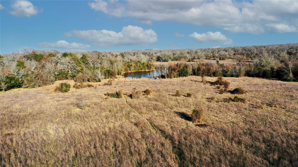 TBD Tract 1 County Road 124, Bedias, Texas image 5