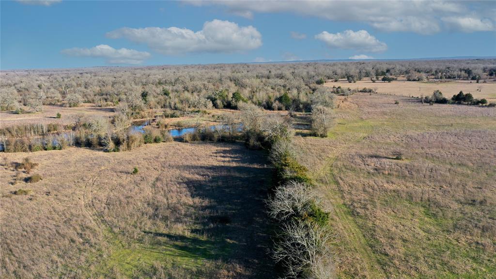 TBD Tract 1 County Road 124, Bedias, Texas image 6