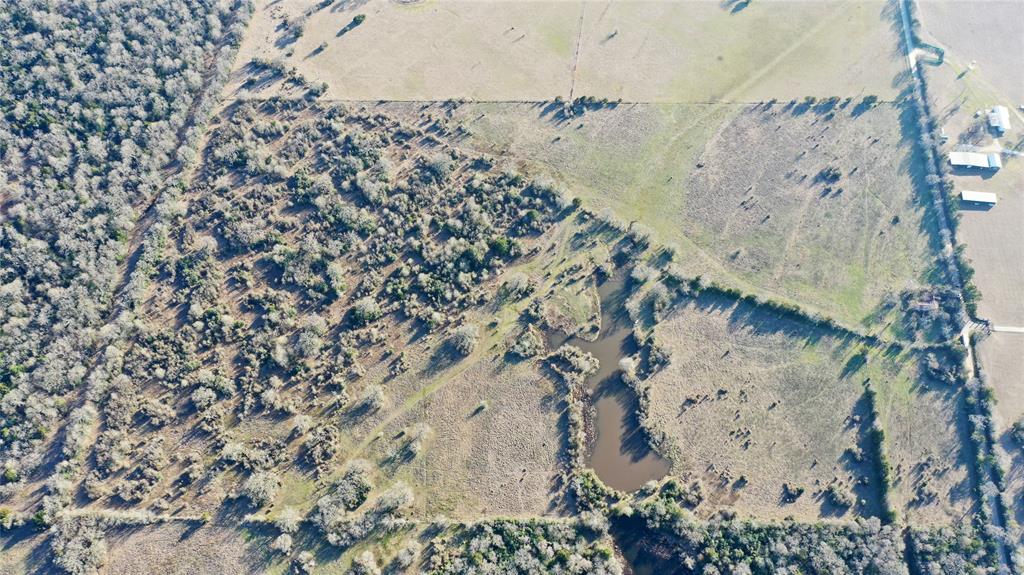 TBD Tract 1 County Road 124, Bedias, Texas image 8