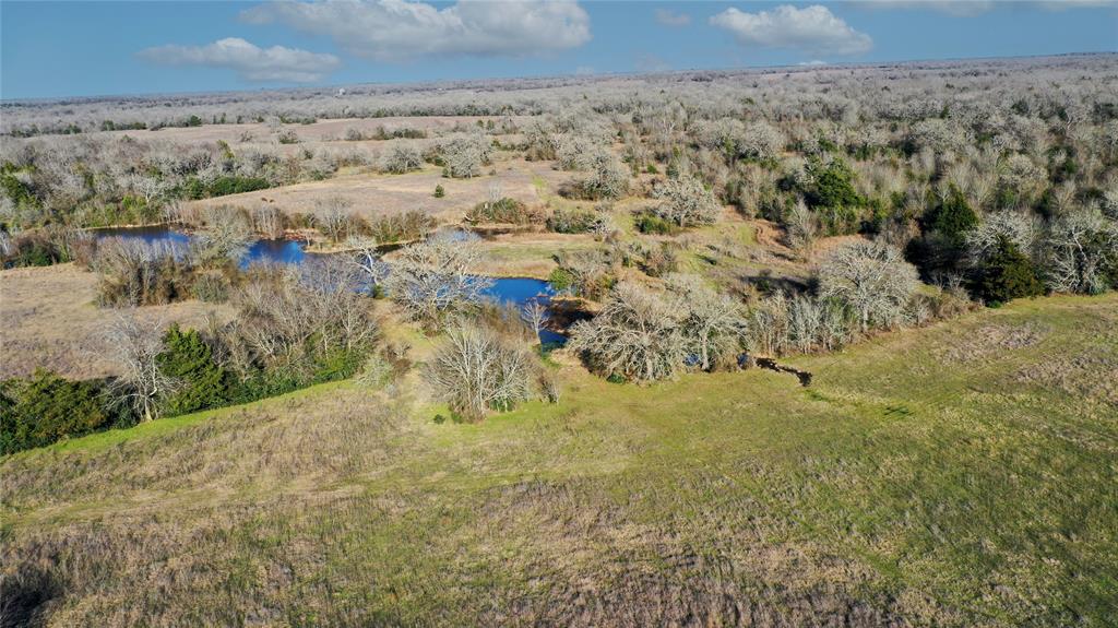 TBD Tract 1 County Road 124, Bedias, Texas image 2