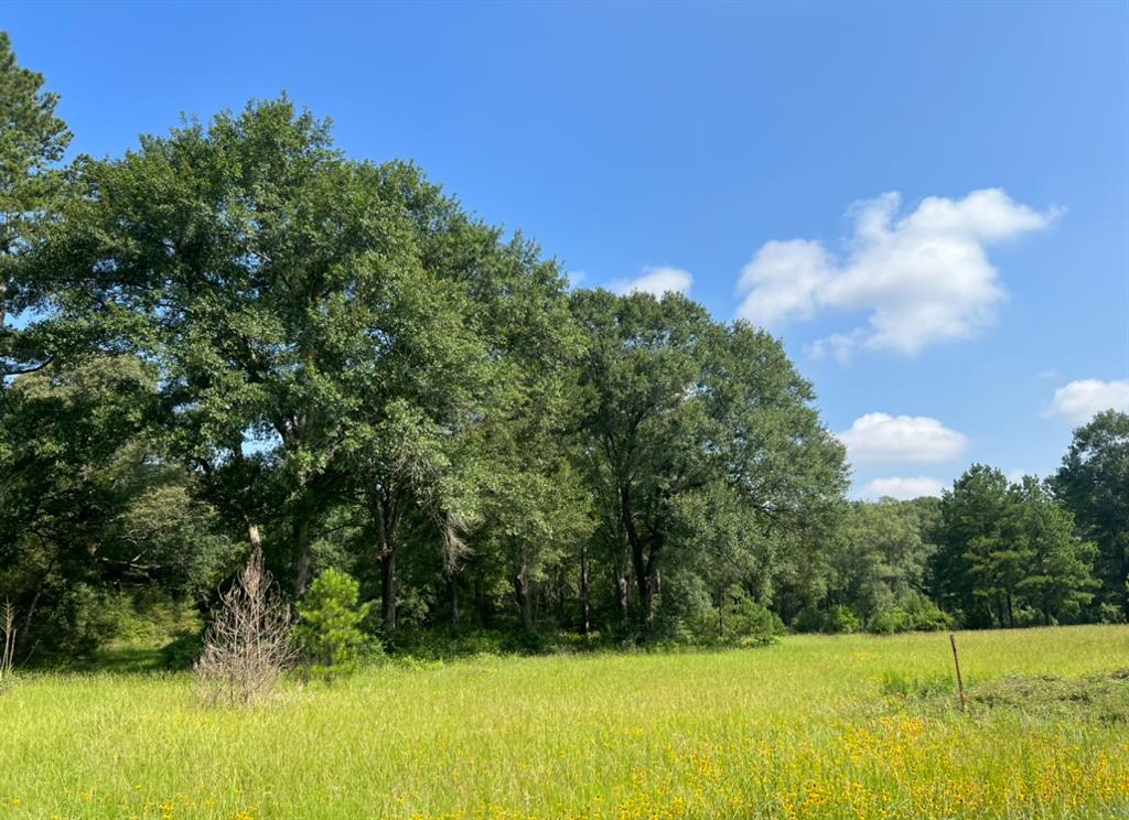 9377 Private Road 2851, Buffalo, Texas image 16