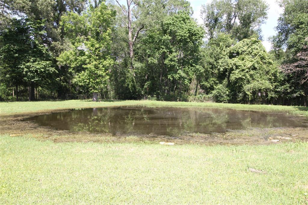 26817 Long Street, Splendora, Texas image 6