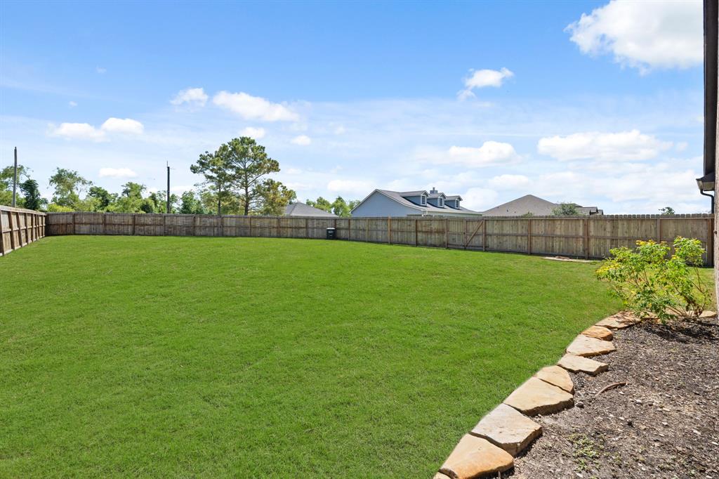 27802 Manor Court, Rosharon, Texas image 47