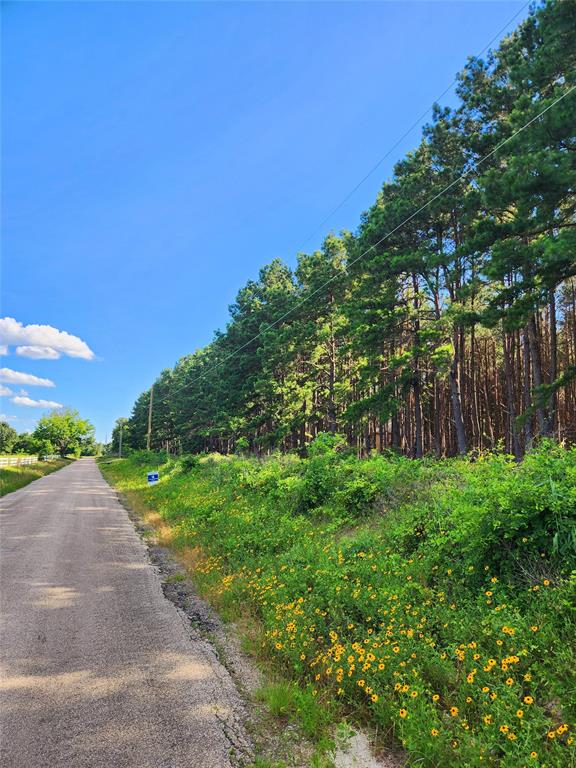 Lot 459 Cr-4712, Larue, Texas image 7