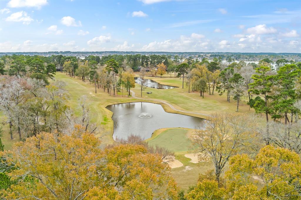 12900 Walden Road #812H, Montgomery, Texas image 28