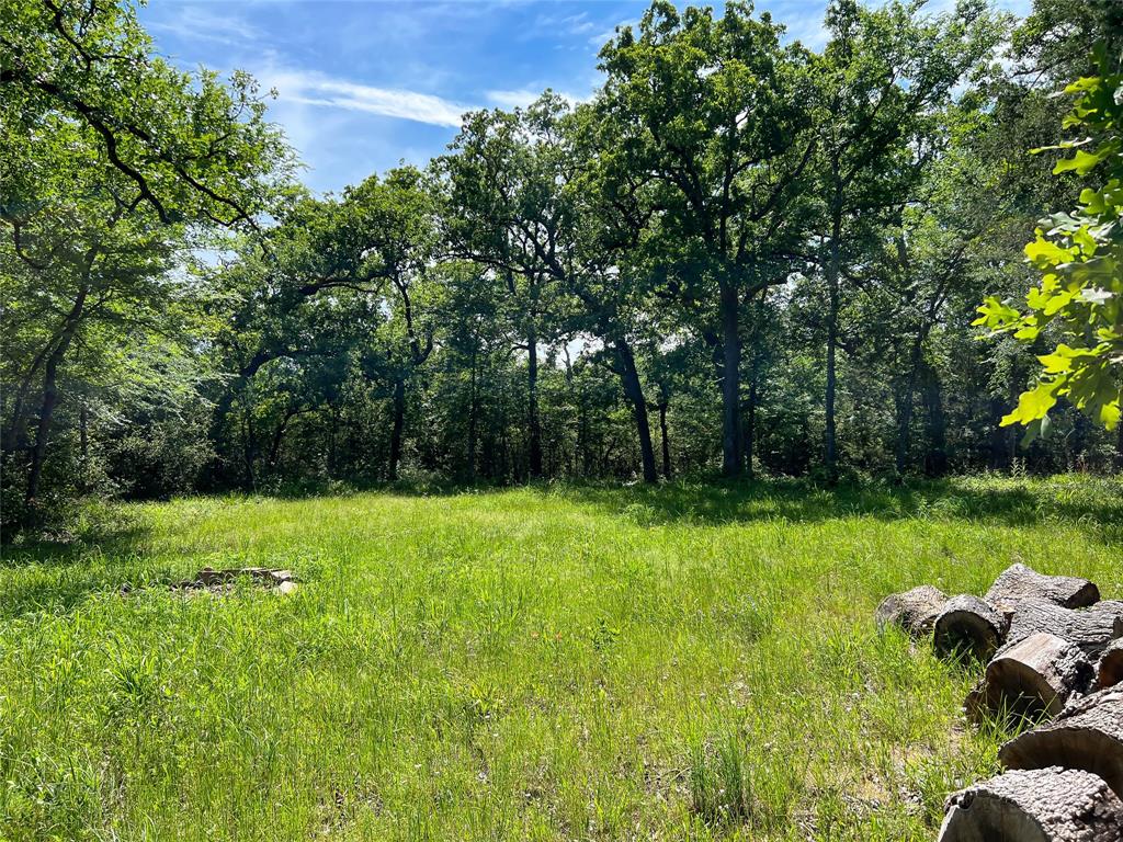 TBD Cr 368, Jewett, Texas image 3