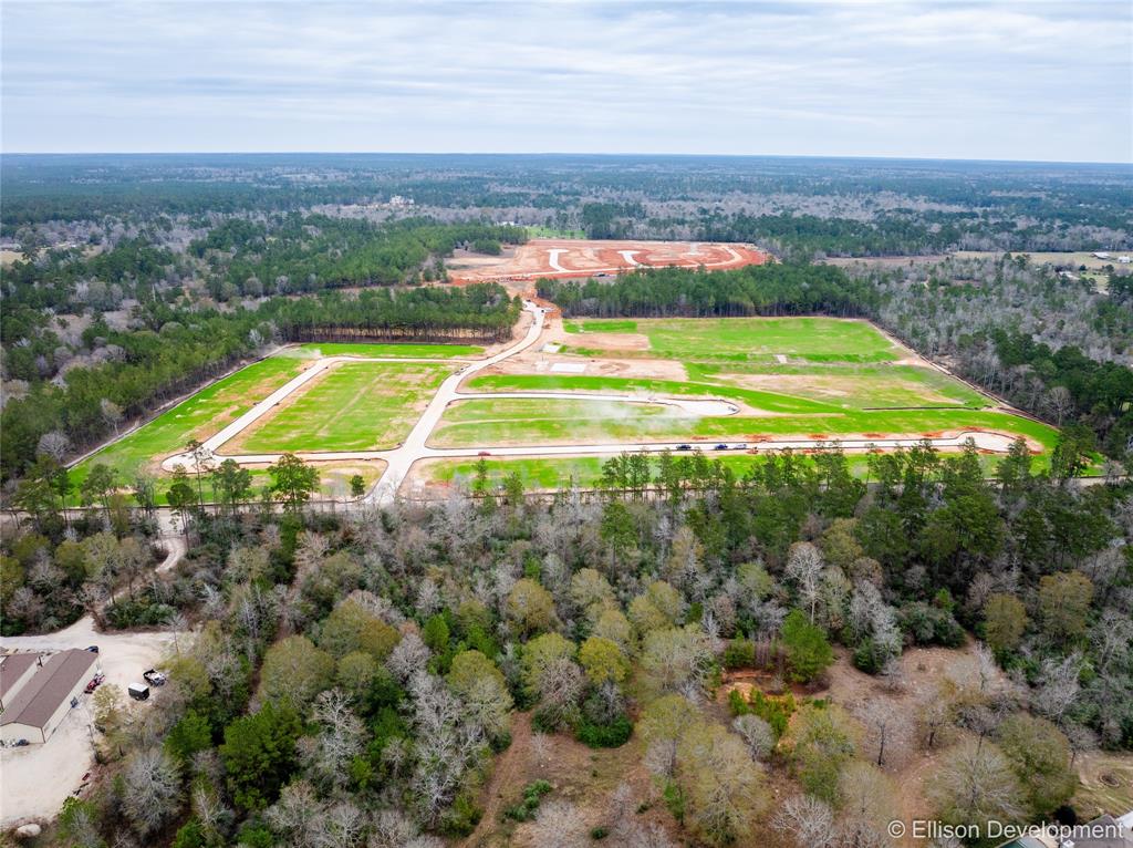 13210 Mccrorey Trails Court, Conroe, Texas image 15