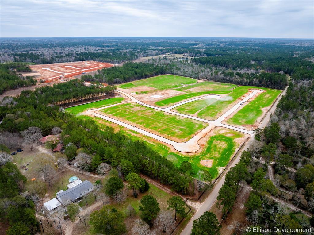 13210 Mccrorey Trails Court, Conroe, Texas image 13