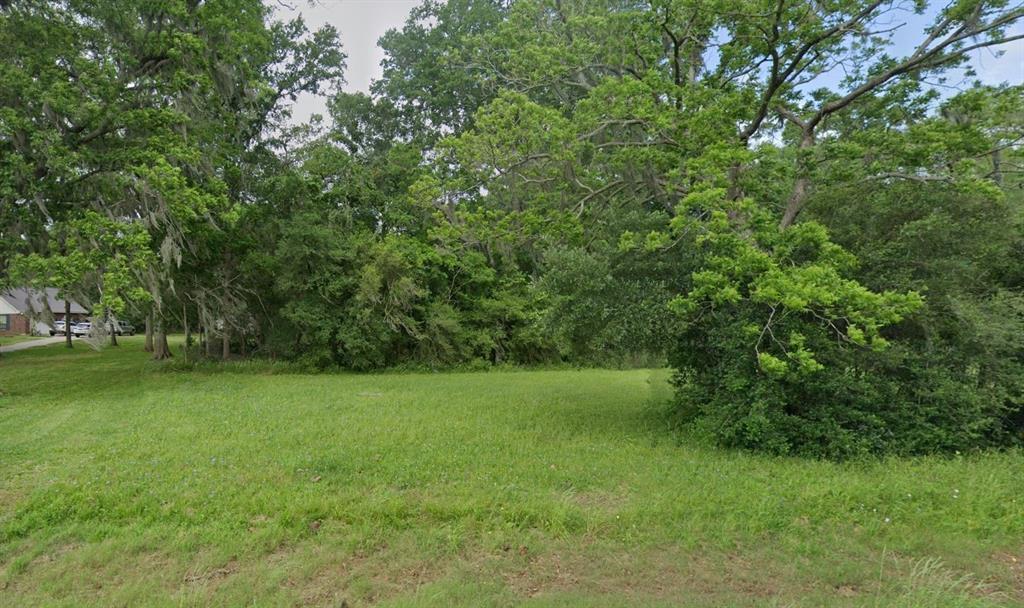 125 Hidden Horse Trail, Angleton, Texas image 1