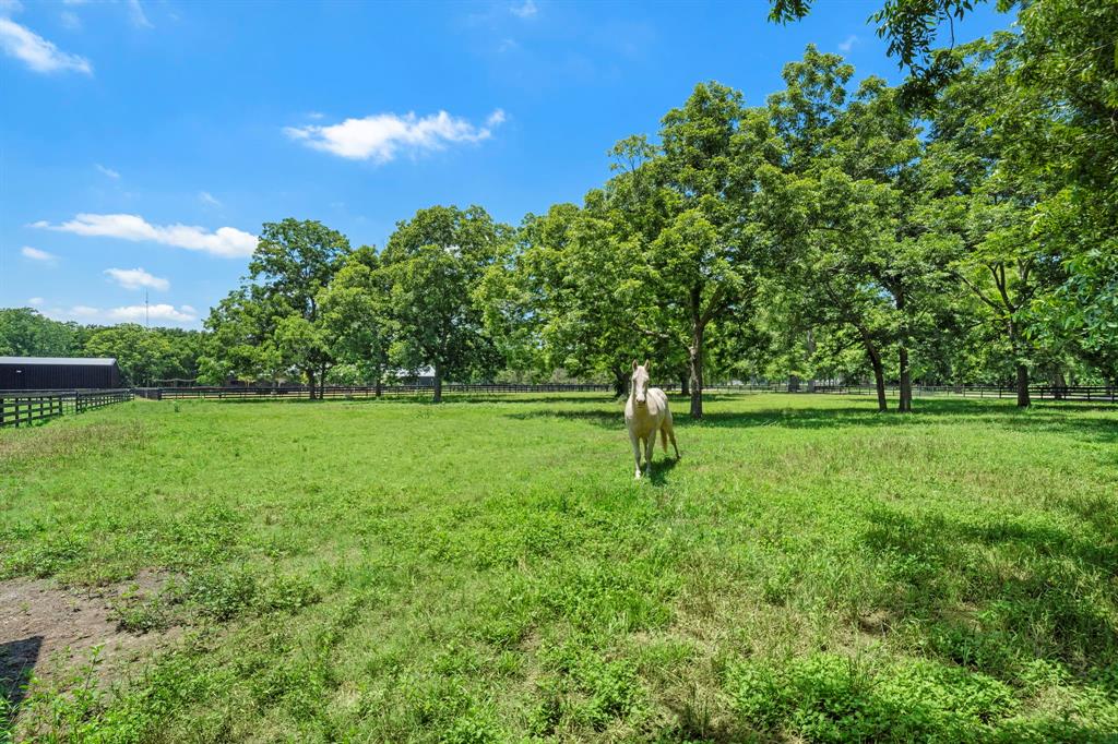 32902 Southern Manors Drive, Fulshear, Texas image 9