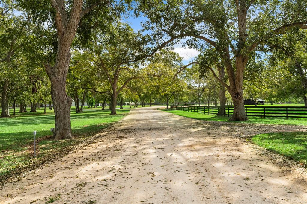 32902 Southern Manors Drive, Fulshear, Texas image 6