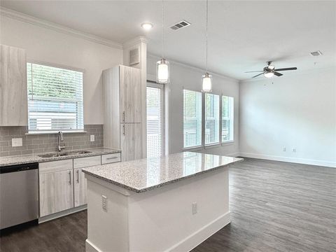 3030 GREENBUSCH 315B Katy TX 77494