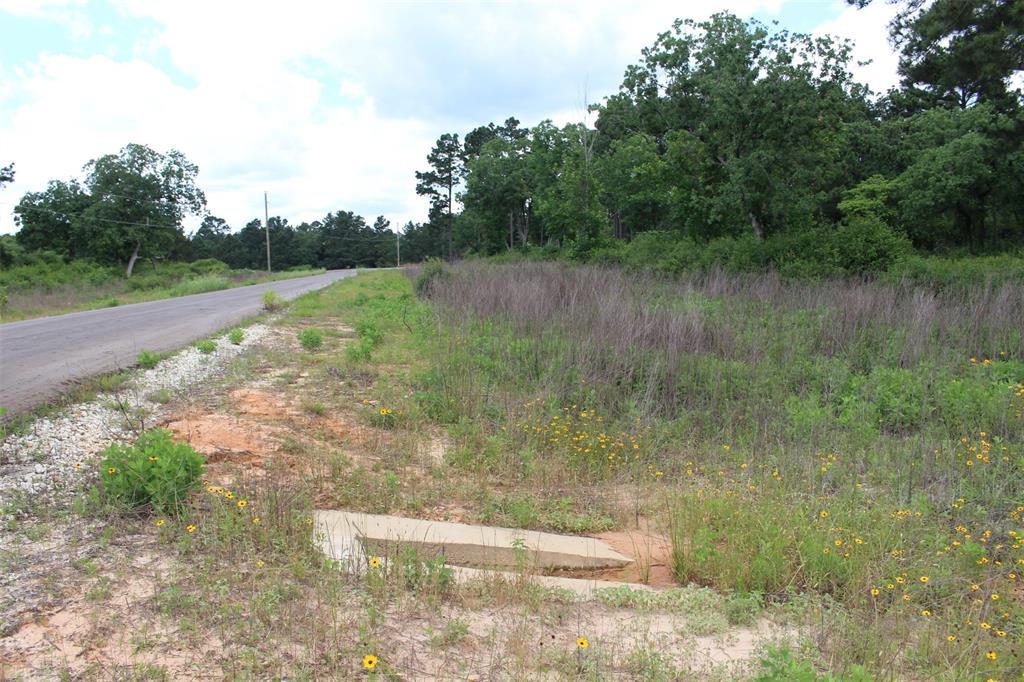 Tract 42 Private Road 1316, Centerville, Texas image 14