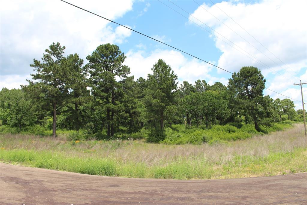 Tract 42 Private Road 1316, Centerville, Texas image 9