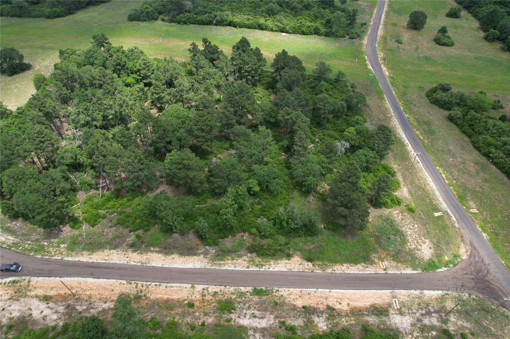 Tract 42 Private Road 1316, Centerville, Texas image 16