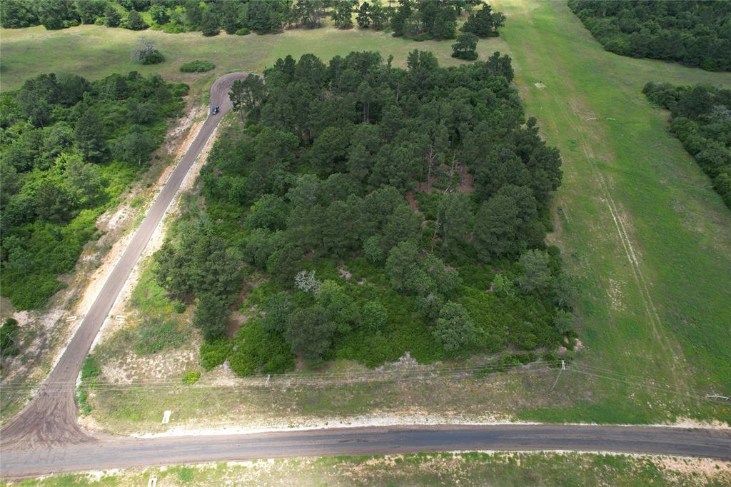 Tract 42 Private Road 1316, Centerville, Texas image 18
