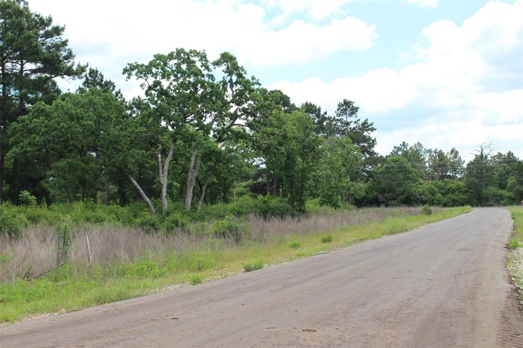 Tract 42 Private Road 1316, Centerville, Texas image 10