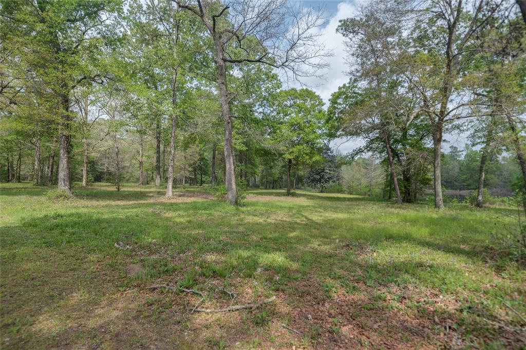 TBD Firetower Road