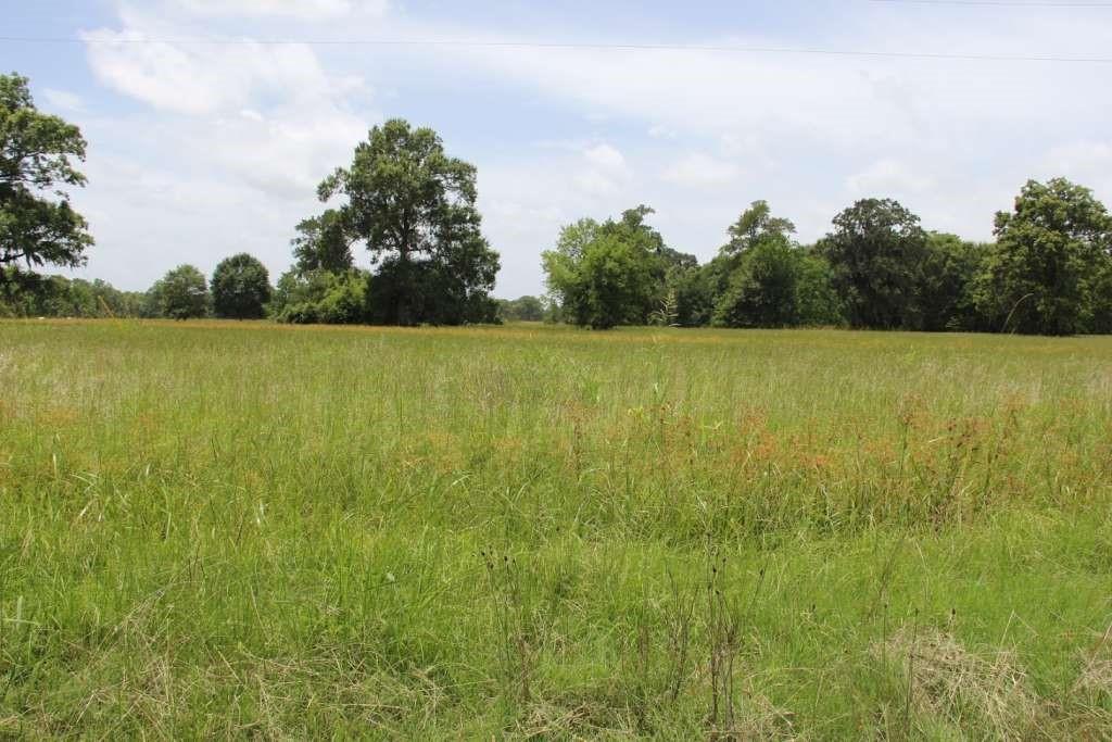 129 Sour Lake Circle, Cleveland, Texas image 9